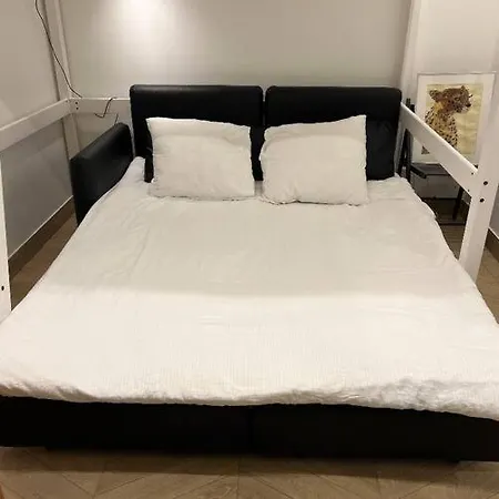 Amour De L'arc Triomple Apartment Paris